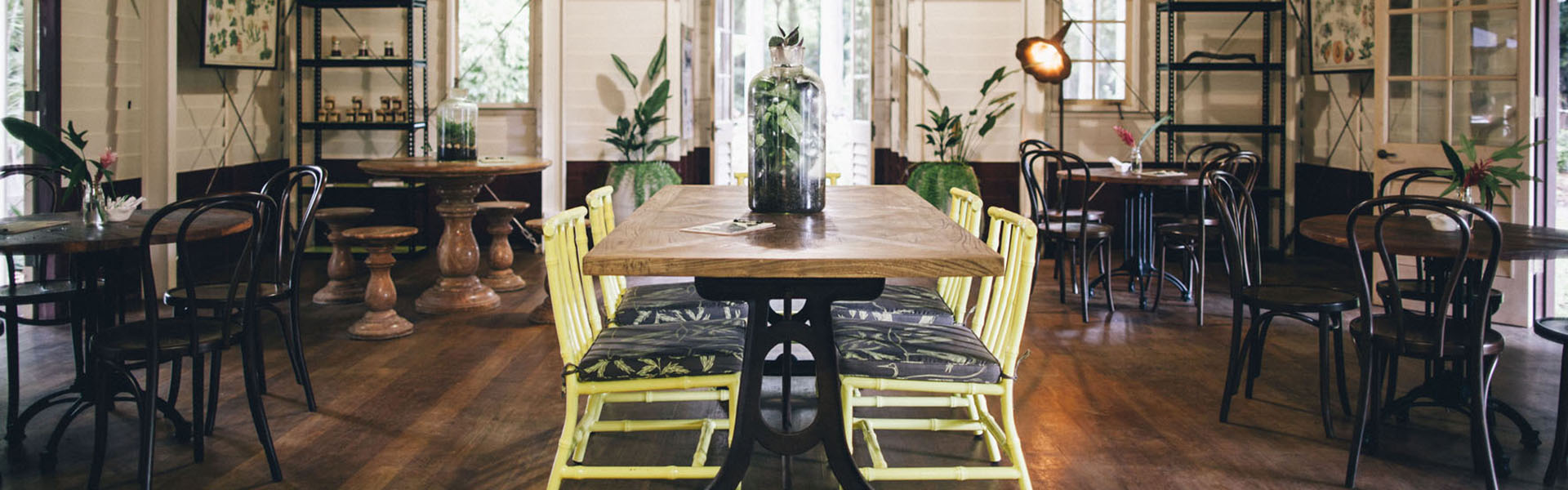 Eva's Cafe