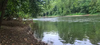 Bayou