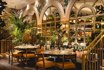The Ivy